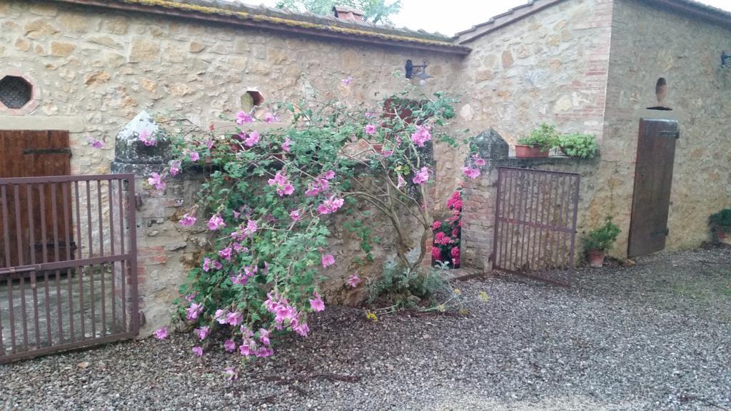 Agriturismo Torrenieri Da Alessandro Pienza Exterior foto